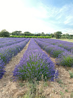 Claire Ruiz Naturopathe à Soisy-sur-Seine