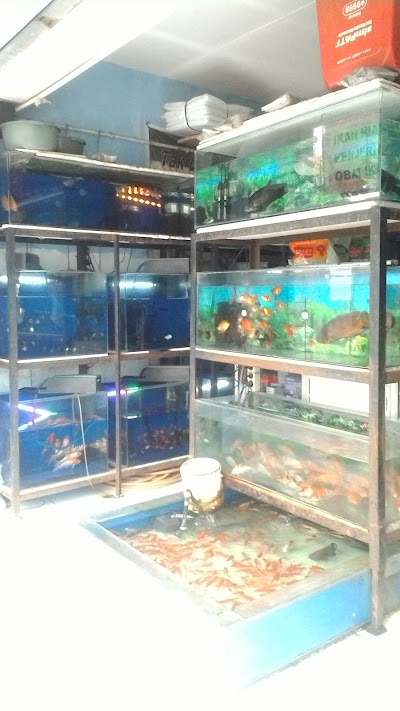 Aquarium