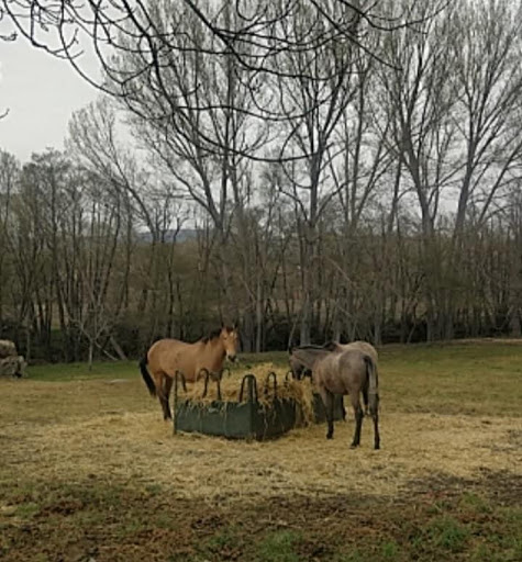 El Cortijo de Gredos - Thumbnail