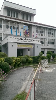 สำนักงานประกันสังคม สำนักงานใหญ่ (Social Security Office), Author: yORT Parkorn Mairaing