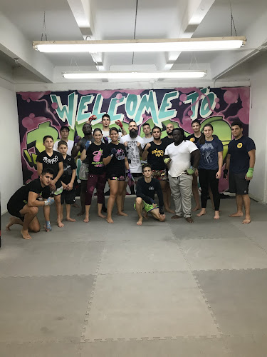 Bushido Muay Thai & Martial Arts Miami - brazilian jiu jitsu in Miami, Florida