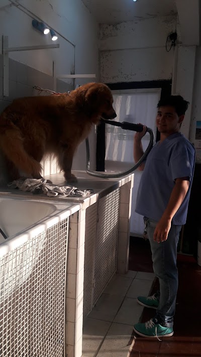 Photos of Consultorio Veterinario San Luis