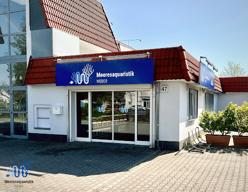 Meeresaquaristik Weber