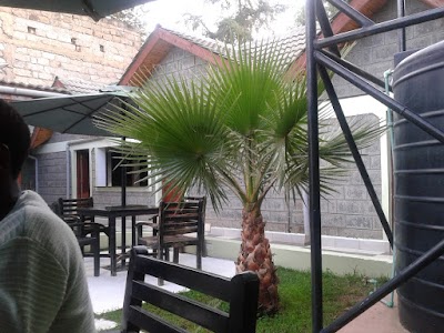 Photos of Shades Restaurant