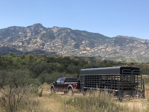 Big Bend Trailers - Visual