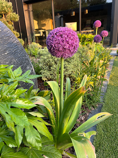 Photo de Main verte à Morancé (69480)