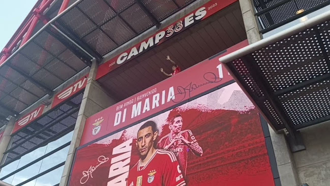 Estádio do Sport Lisboa e Benfica - Campo de futebol