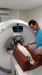 Photo n°4 de Scanner Vétérinaire du Léman ScanVet à Saint-Genis-Pouilly (Centre d'imagerie pour diagnostic médical)