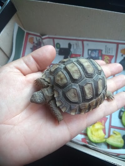 Photos of Del Sol Veterinaria-Vetexoticos (suc Avellaneda)