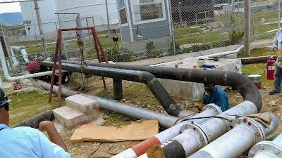 Photos of Shell