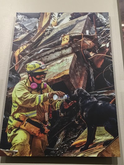 Photos of Salmiya South Fire Department