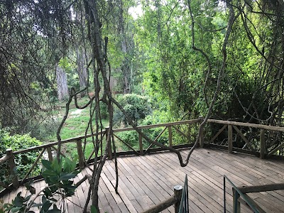 Photos of Ngare Ndare