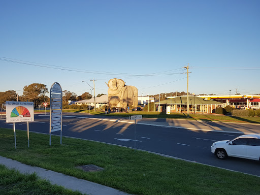 EG Ampol Goulburn South - Thumbnail