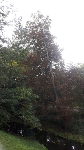 Park am Heidekampgraben - Thumbnail