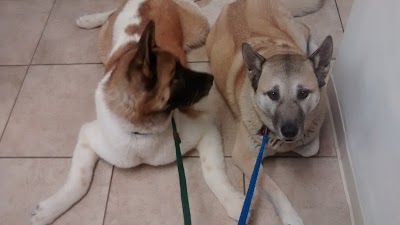 Photos of Animal Health Veterinary Clinic