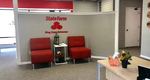 Meg Cano-Schuman - State Farm Insurance Agent - Thumbnail