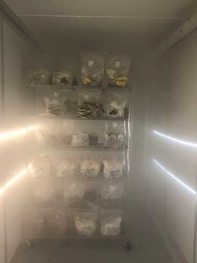 McCrae Gourmet Mushrooms - Thumbnail