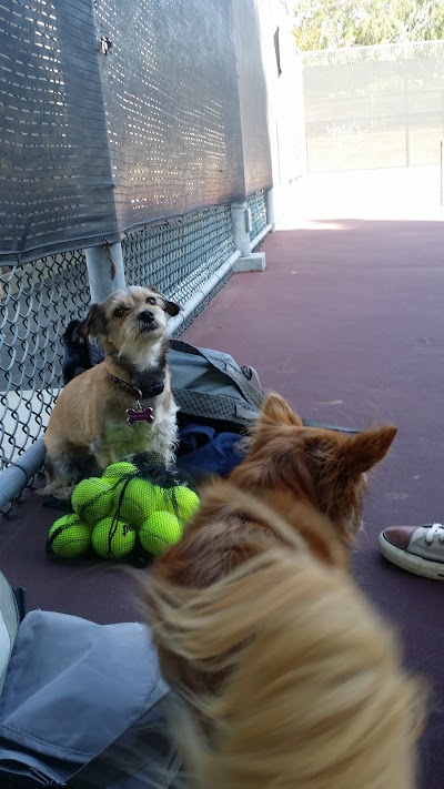 Culver City Paddle Tennis Courts