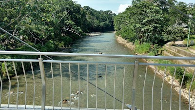 Photos of Amaz&oacute;nico "La Isla" Park