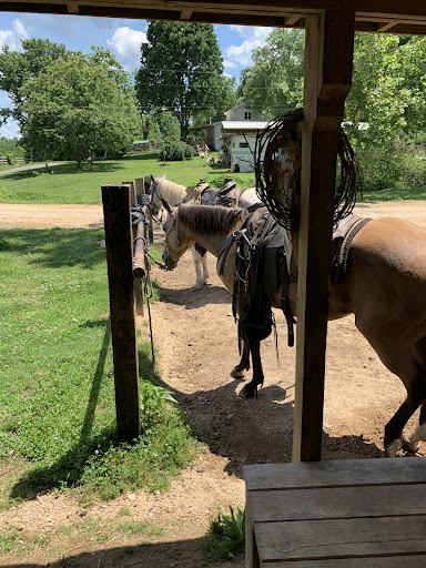 Calico Junction New Beginnings Ranch, Inc. - Thumbnail