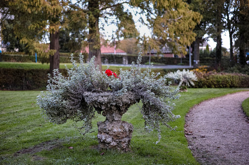 Overtuin Bisdom van Vliet (Haastrechtse Bos) - Thumbnail
