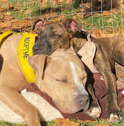 Foto de Society For Prevention-Cruelty / SPCA Of The Triad