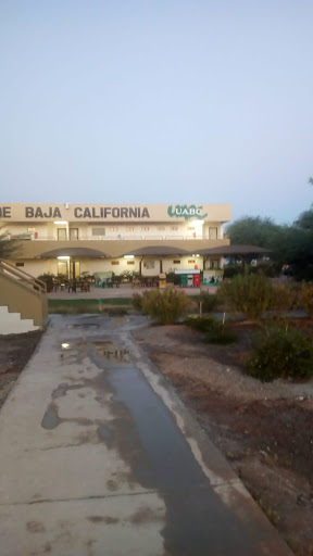 UABC School of Engineering and Business - Thumbnail