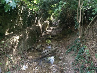 park