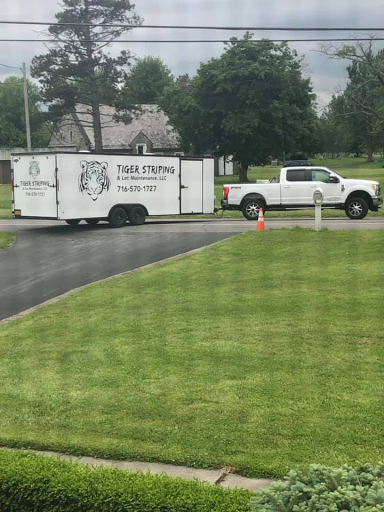 TIGER STRIPING & LOT MAINTENANCE, LLC