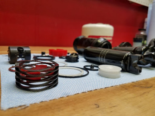 The Shock Lab - Visual