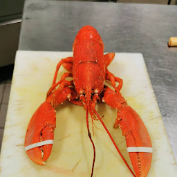 Photo n°10 de L'Himalaya à Amiens (Restaurant végétarien)