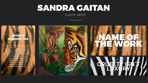 S.Gaitan Artista - Thumbnail