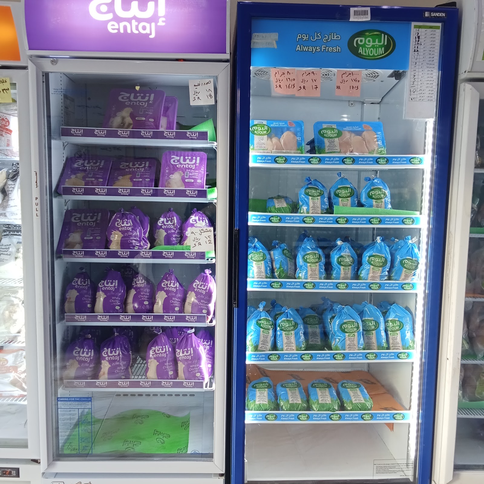 غدير الطليعه للدواجن - صورة 2