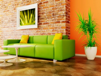 Photos of Muebles Padua
