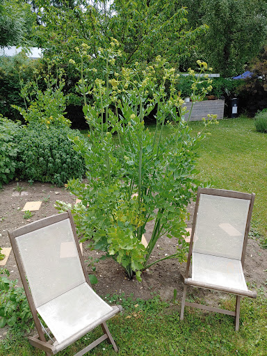 Stephan Margraf, Gartenbau-Produkte - Germany