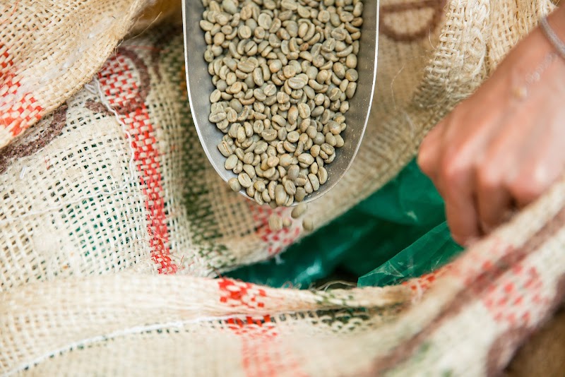 Earth Bean Coffee — photo 16