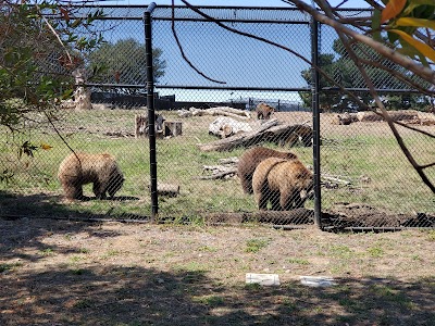 California Trail at the Oakland Zoo