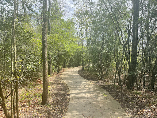 Exploration Trails - Visual