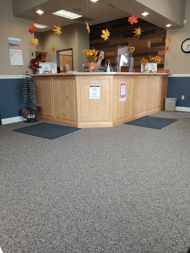 Slater Chiropractic - Visual