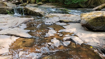 Alsea Falls Campground