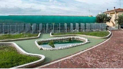 Pisciotta Allevamenti