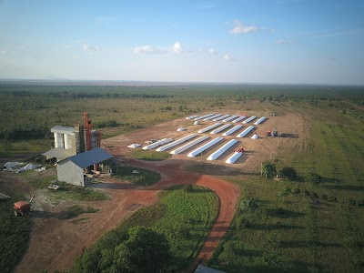 photo of AGMO Silos/Oficina en Campo