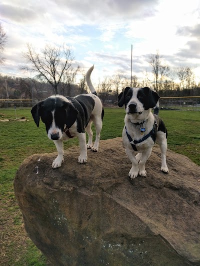 East State Street Dog Park