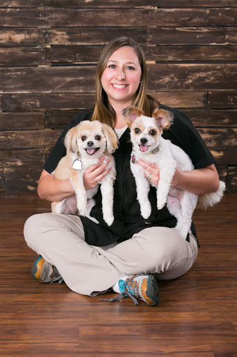 Petersen Pet Hospital Gallery - United States