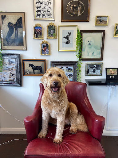 Barker's Boutique Dog Grooming