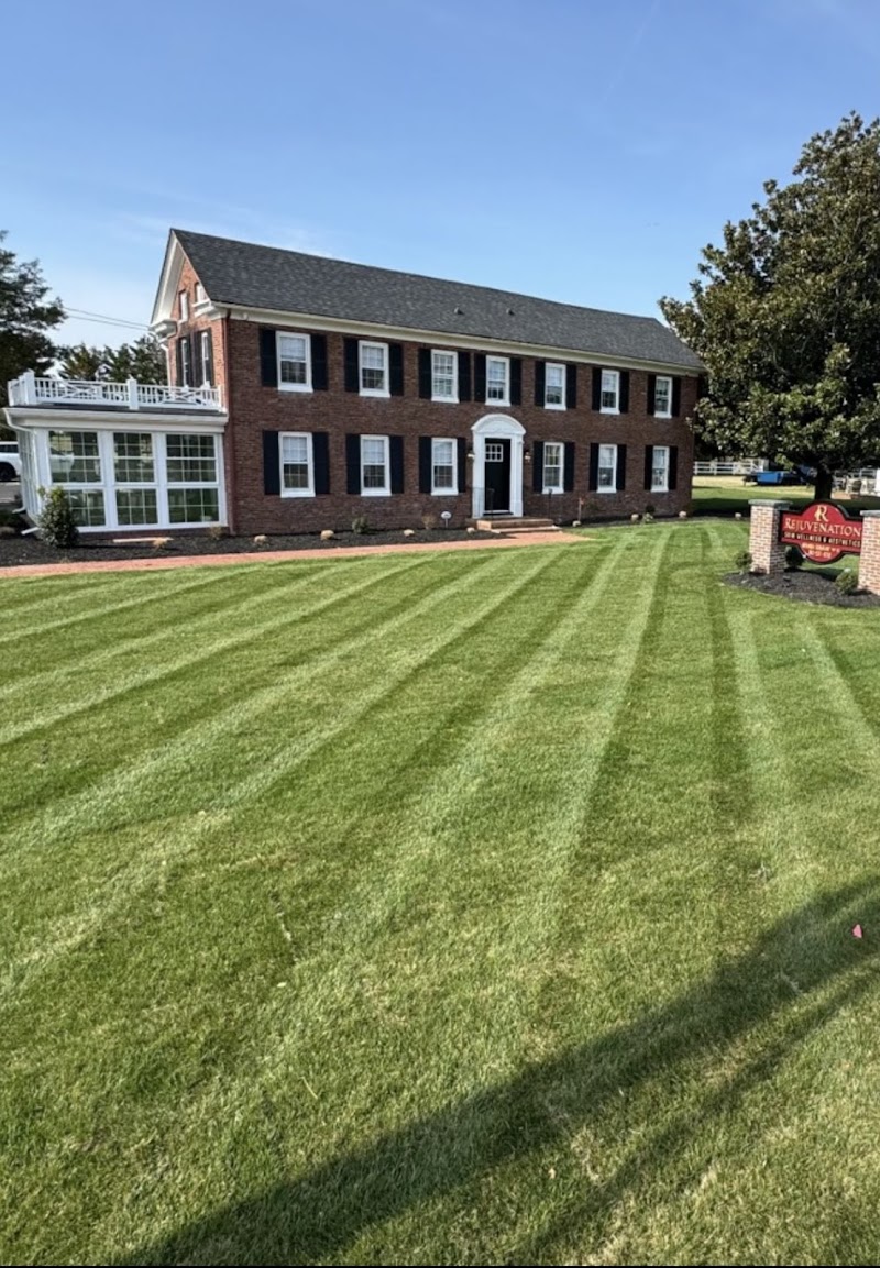 Rejuvenation Skin Wellness & Aesthetics