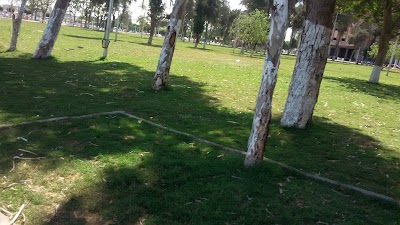 Photos of Andalous Garden