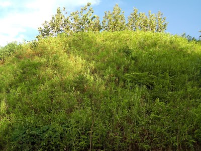 Photos of Cha Cha Mong Marma Hill