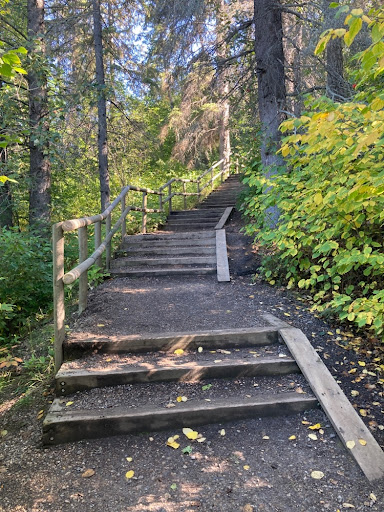 Devon Voyageur Park - Visual