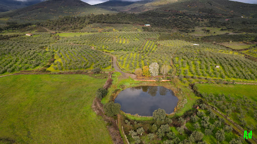 Laguna de Las Navas - Thumbnail